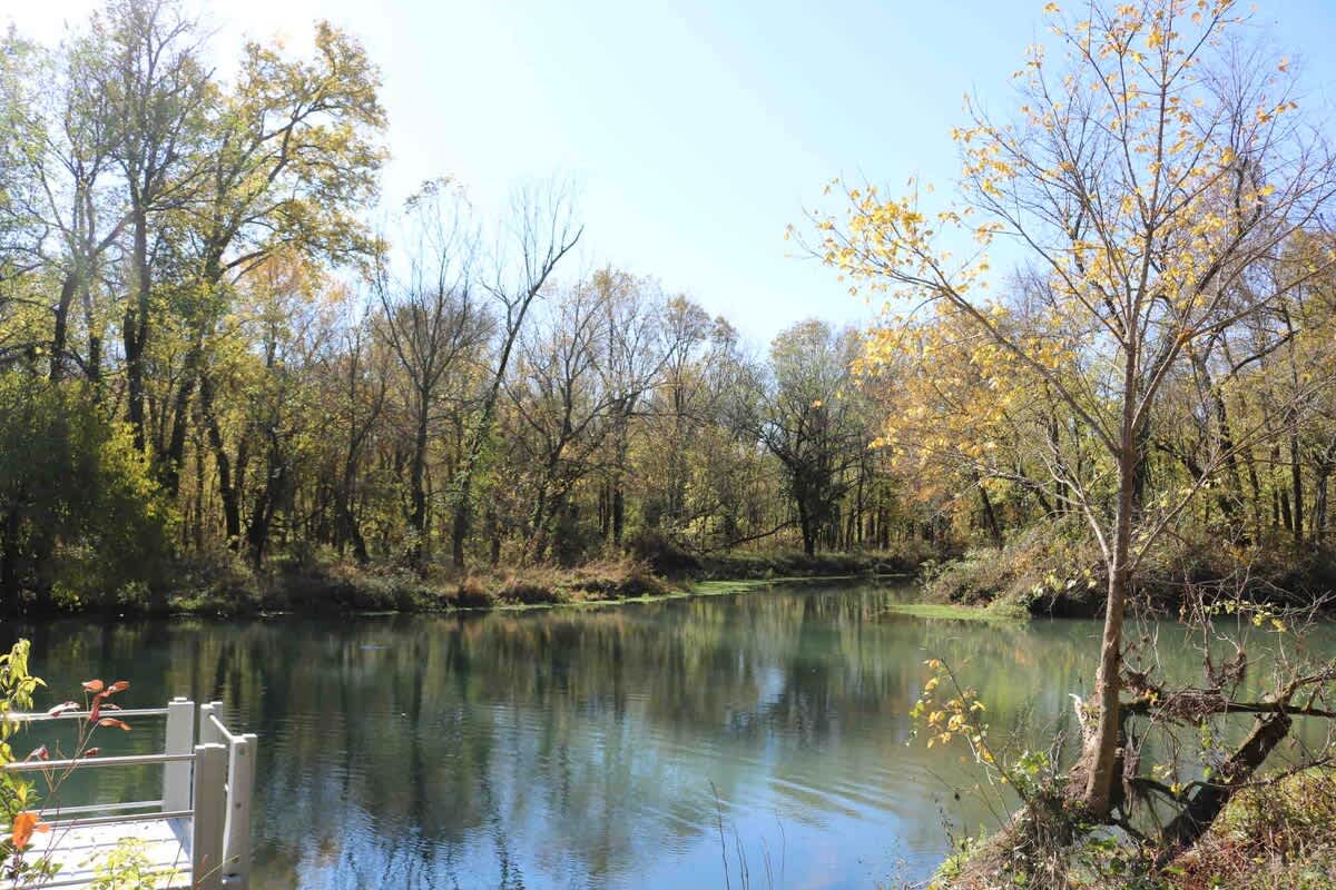 oxbow lake