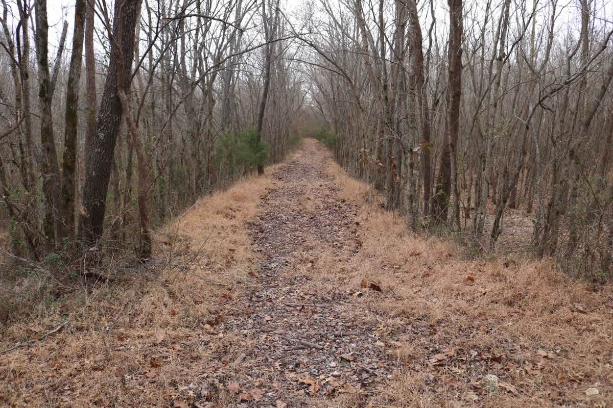 
Walking trails through the historic fish hatchery.