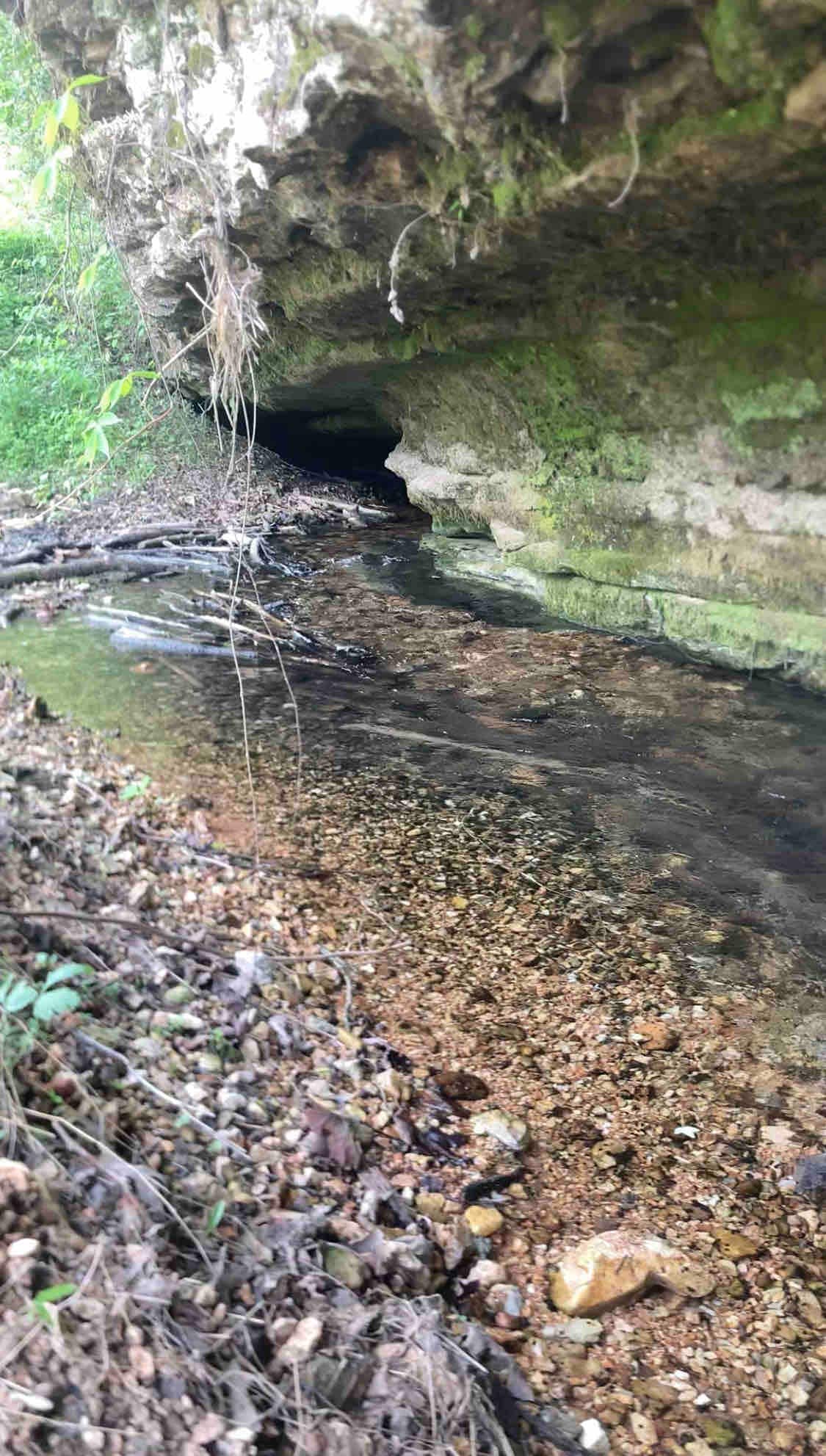 Twin Falls Spring, just down the road/ hill.