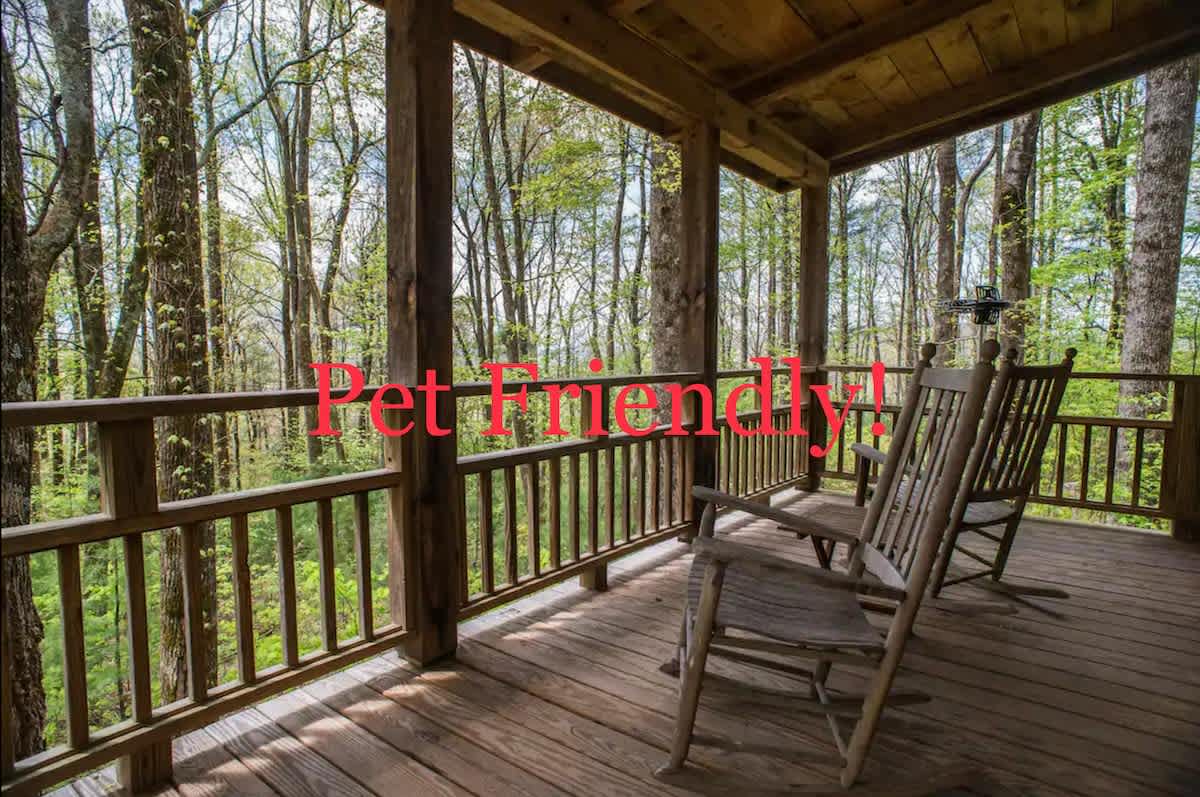 Cozy Guest Cabin•Pet Friendly•Secluded•Peaceful — Lake Lure, NC — vacation rental