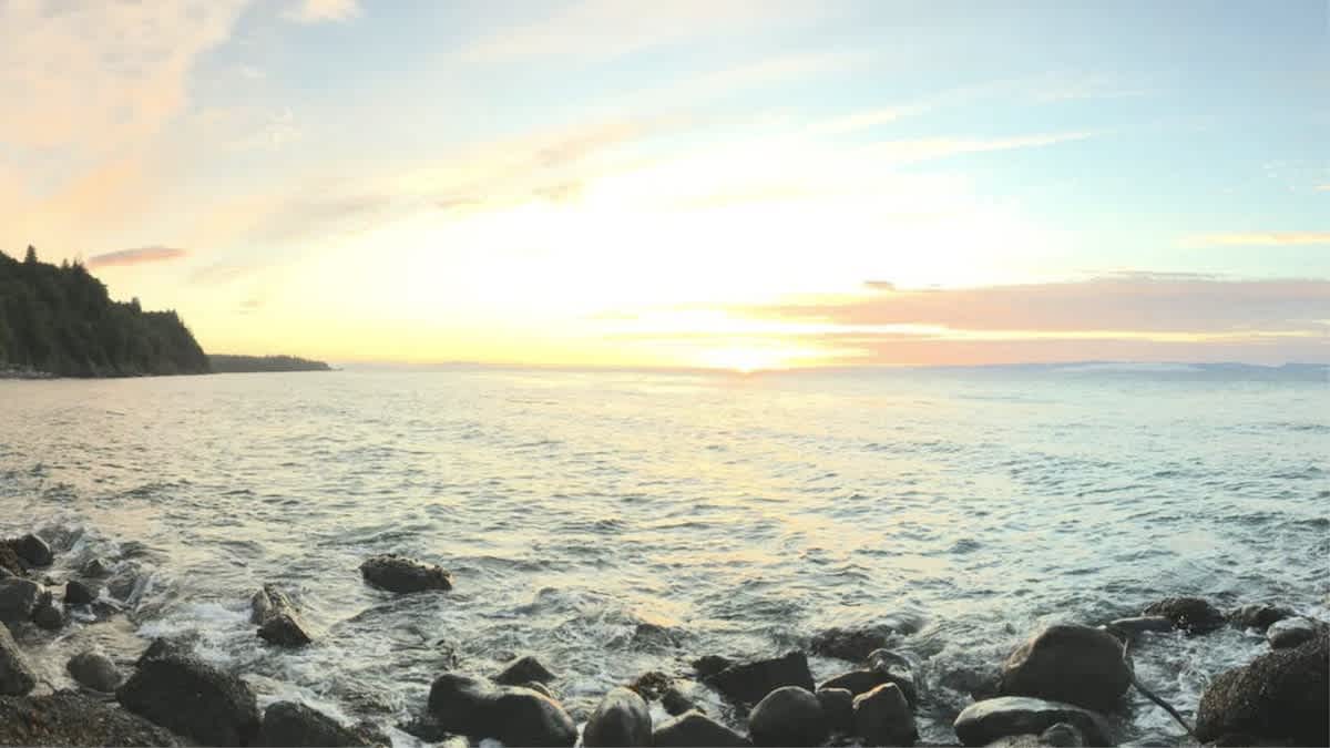 View 5