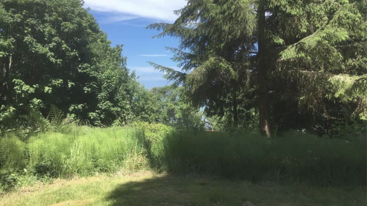 Ocean View Tent Site T2 — Port Angeles, WA — vacation rental