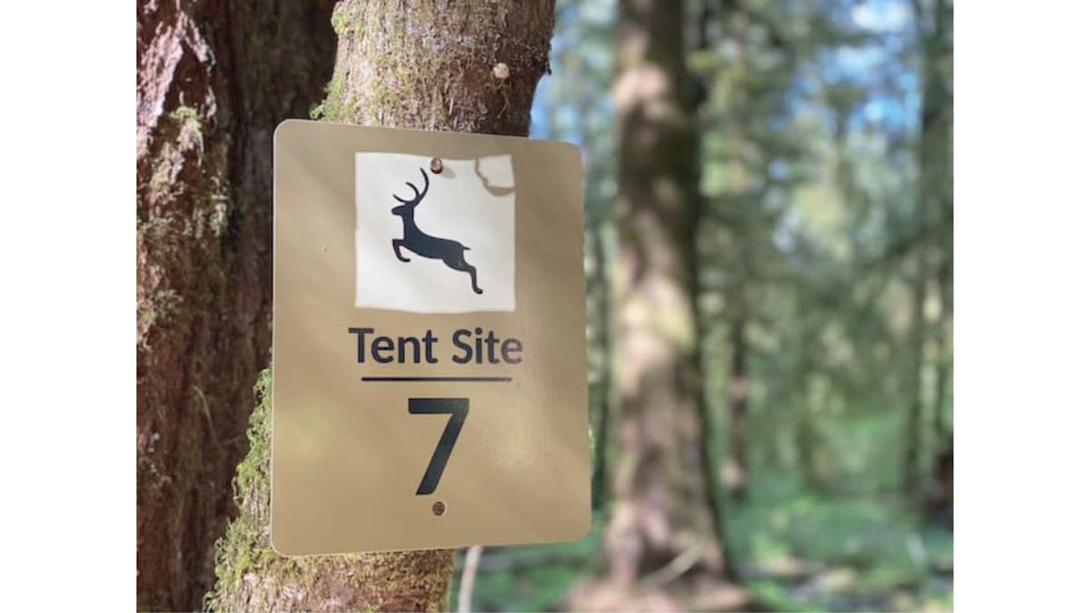 Primitive Tent Site in Enchanted Rain Forest - Sit — Forks, WA — vacation rental