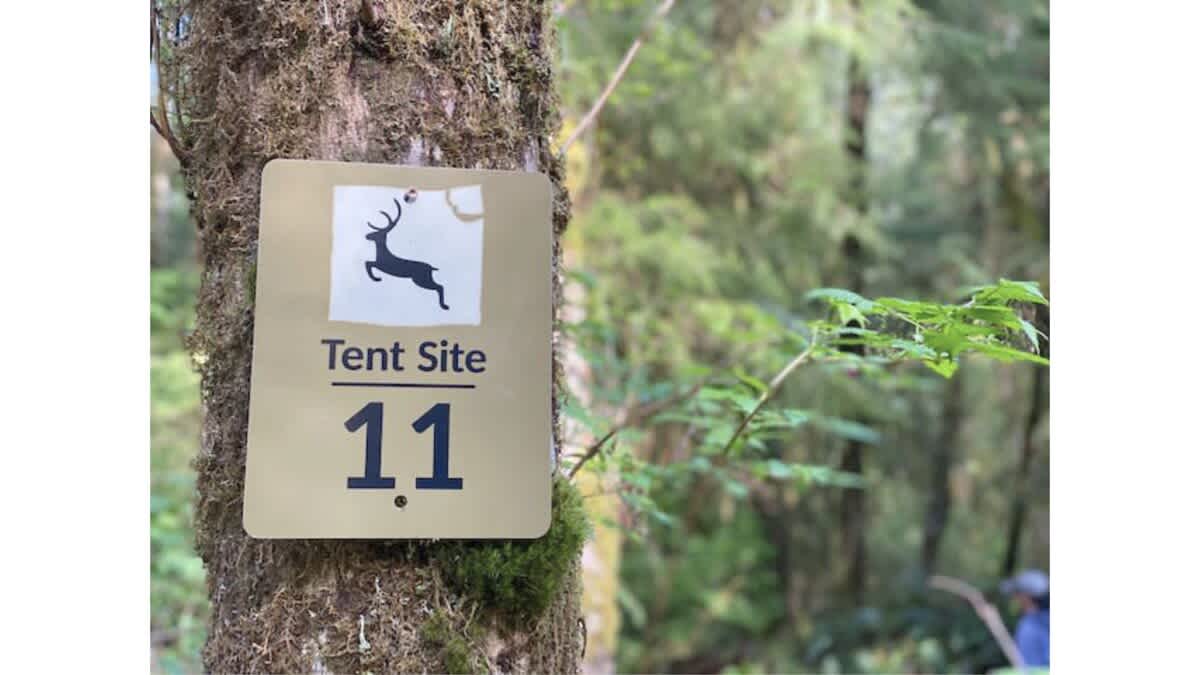 Primitive Tent Site in Enchanted Rain Forest - Sit — Forks, WA — vacation rental