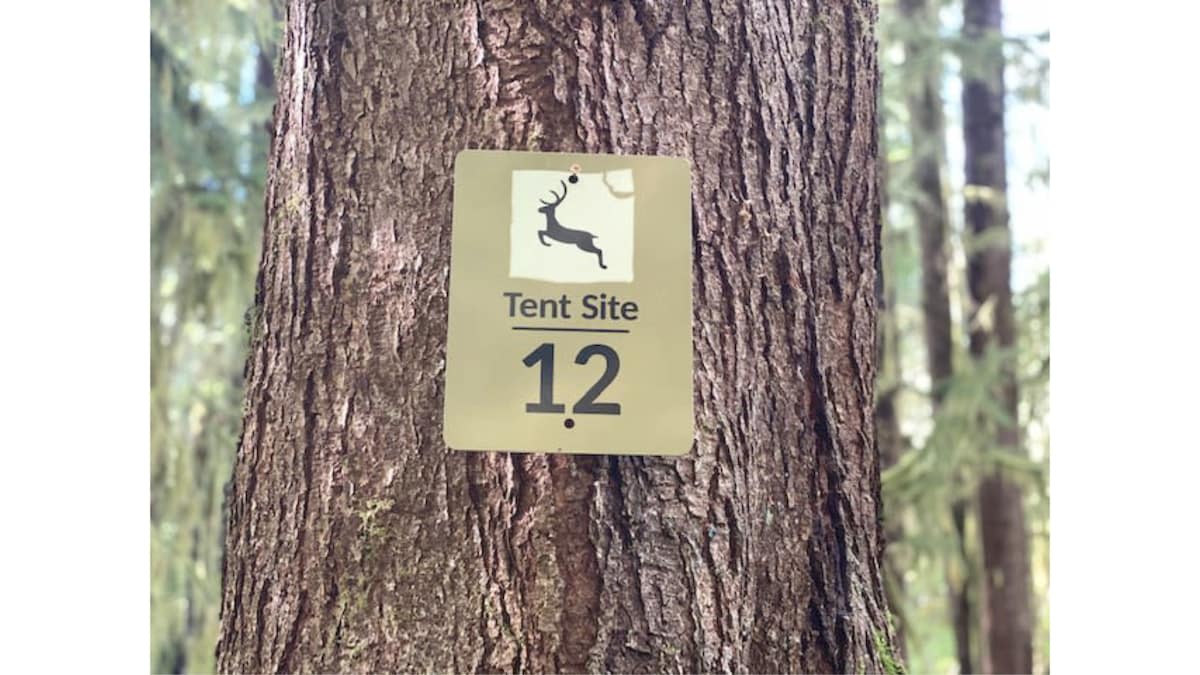 Primitive Tent Site in Enchanted Rain Forest - Sit — Forks, WA — vacation rental