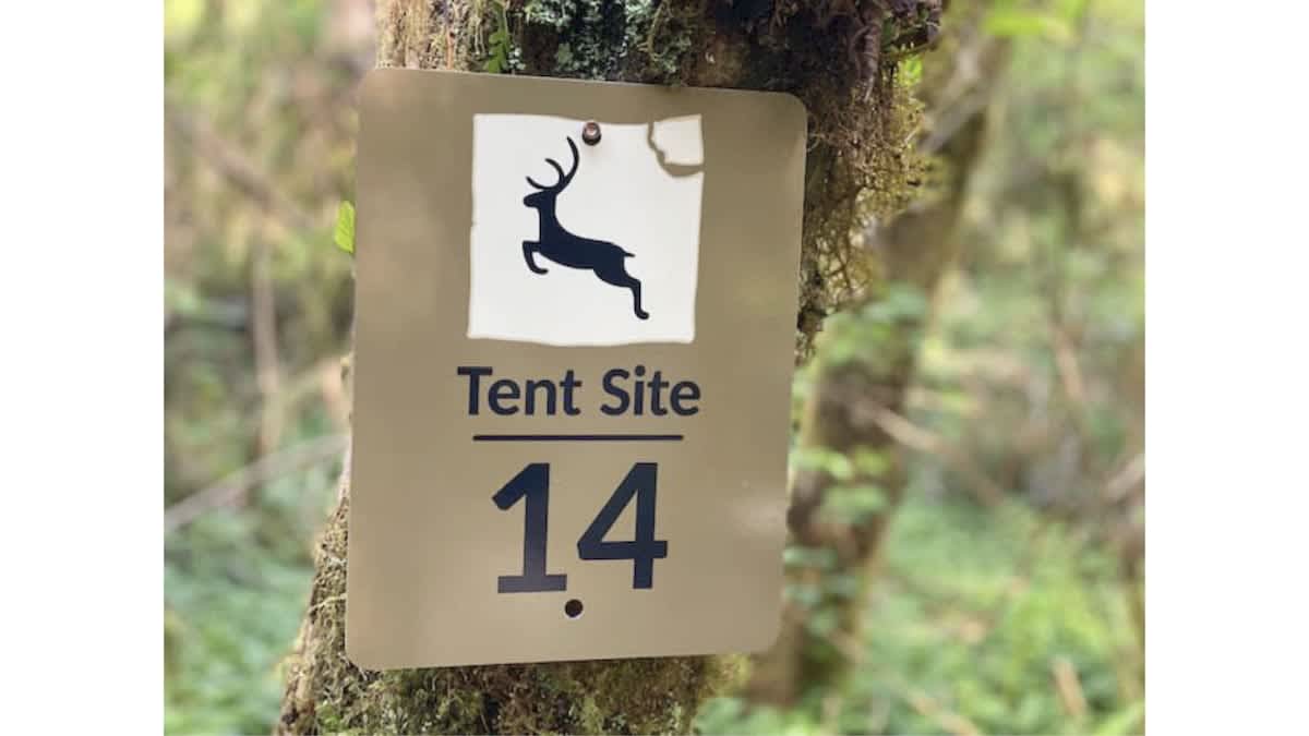 Primitive Tent Site in Enchanted Rain Forest - Sit — Forks, WA — vacation rental