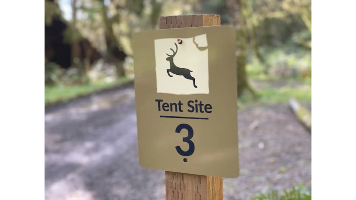 Primitive Tent Site in Enchanted Rain Forest - Sit — Forks, WA — vacation rental