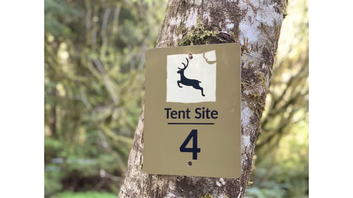 Primitive Tent Site in Enchanted Rain Forest - Sit — Forks, WA — vacation rental