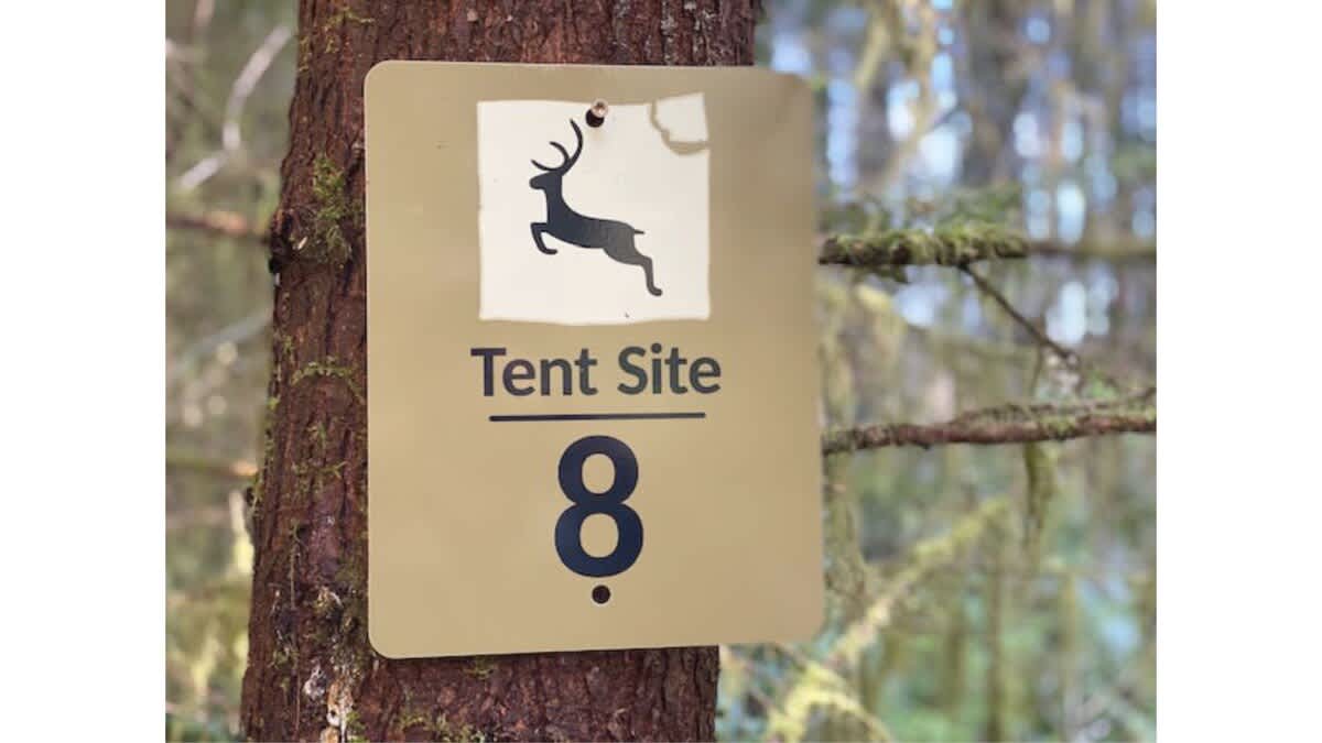 Primitive Tent Site in Enchanted Rain Forest - Sit — Forks, WA — vacation rental