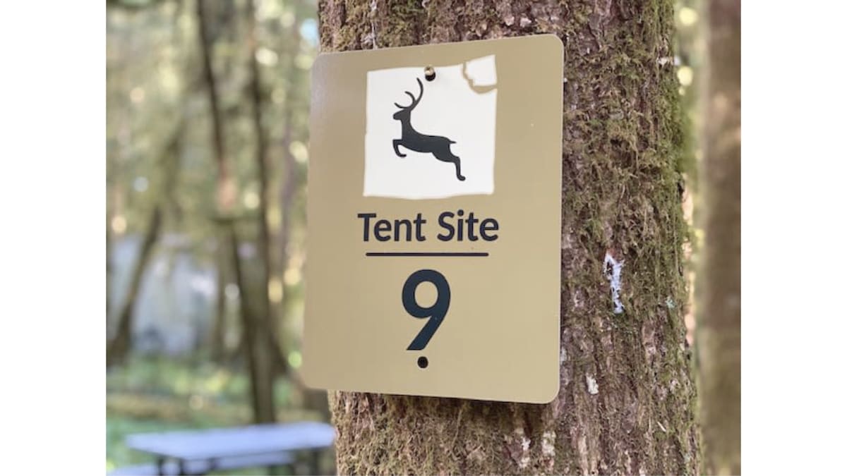 Primitive Tent Site in Enchanted Rain Forest - Sit — Forks, WA — vacation rental