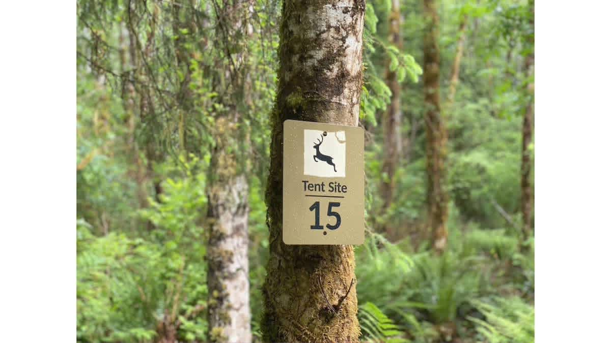 Primitive Tent Site in Enchanted Rain Forest - Sit — Forks, WA — vacation rental