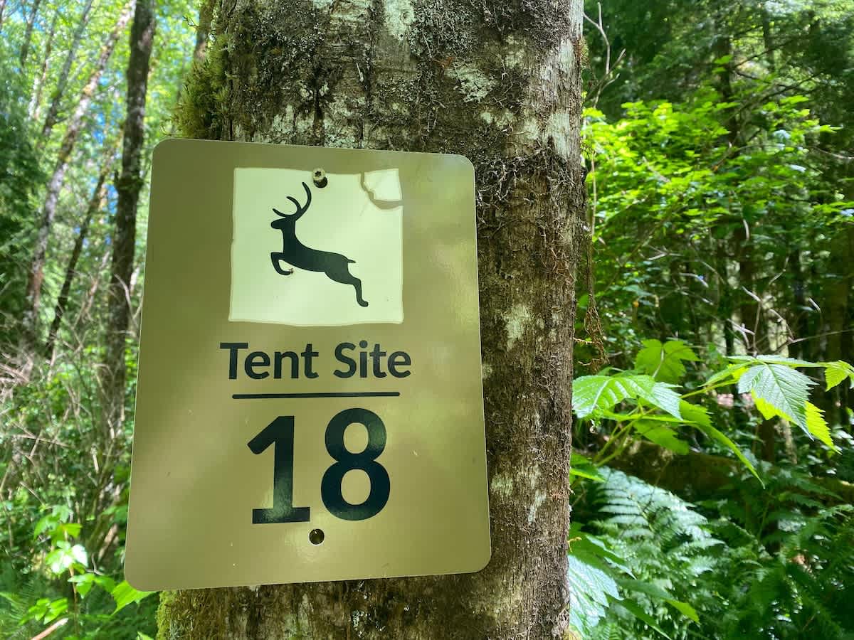Primitive Tent Site in Enchanted Rain Forest - Sit — Forks, WA — vacation rental