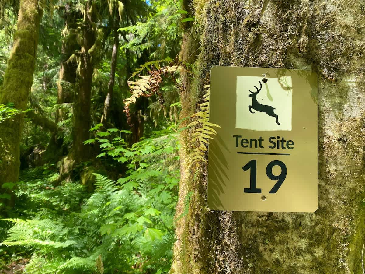 Primitive Tent Site in Enchanted Rain Forest - Sit — Forks, WA — vacation rental