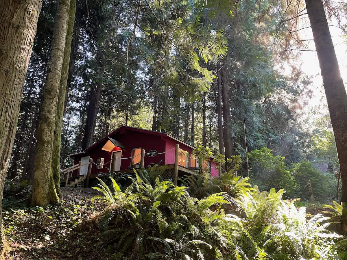 Forested Cottage in the Woods, near Olympic Park — Port Angeles, WA — vacation rental