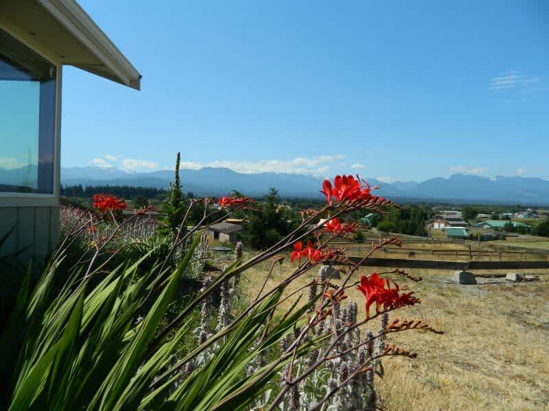 View 3
