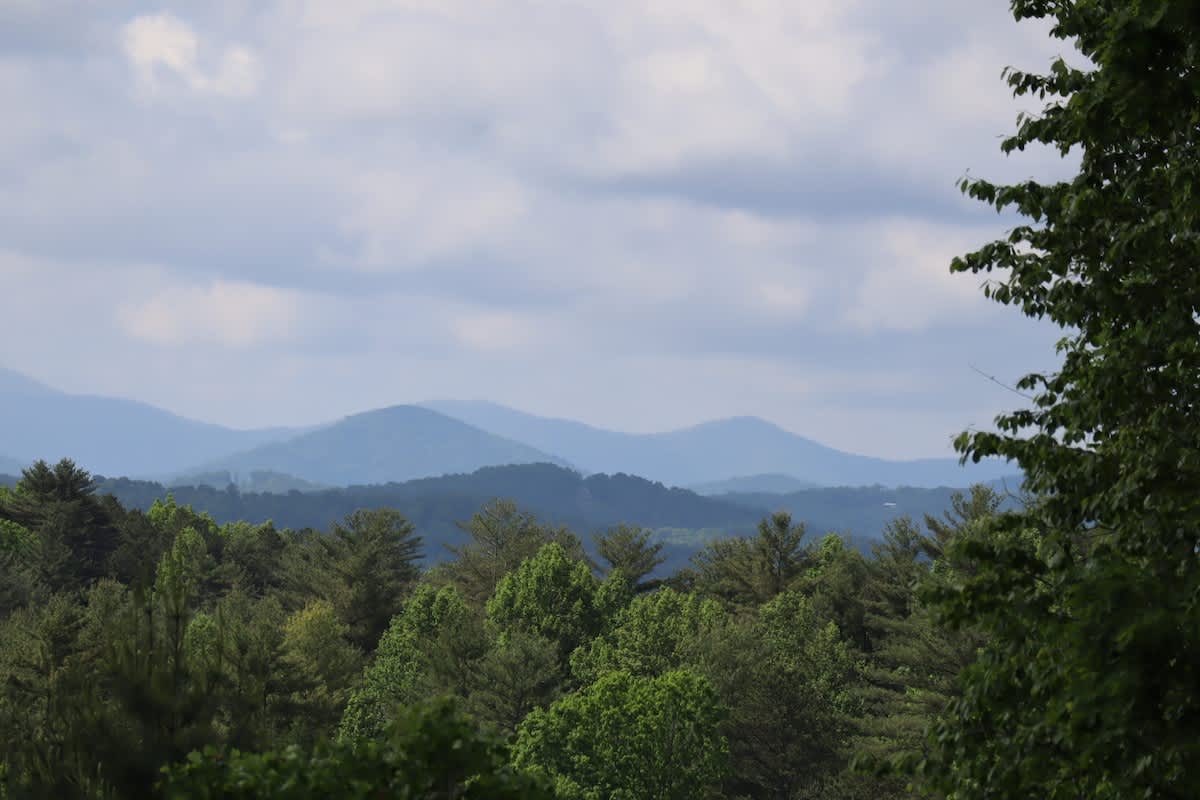 View 3