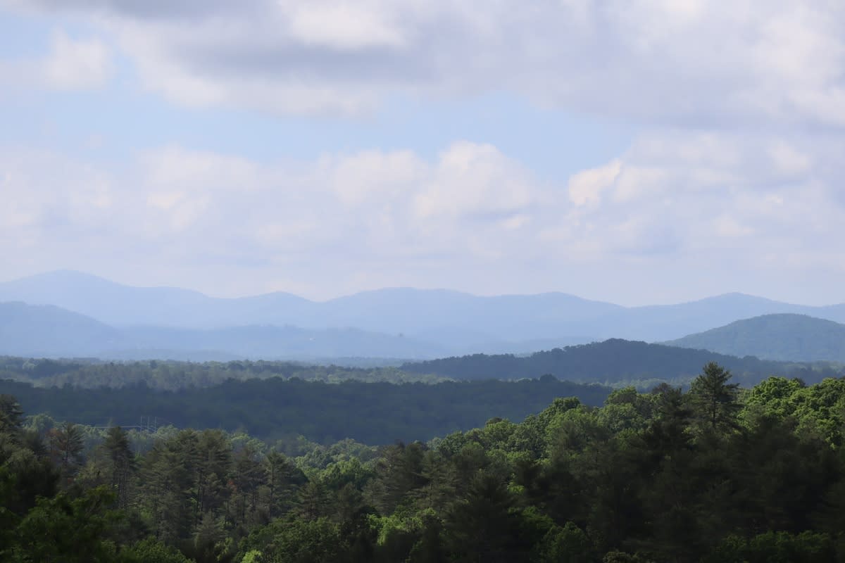 View 5