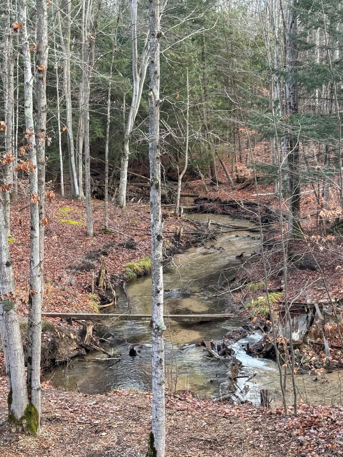 Creekside Condo w/ Pool & Beach Club 4