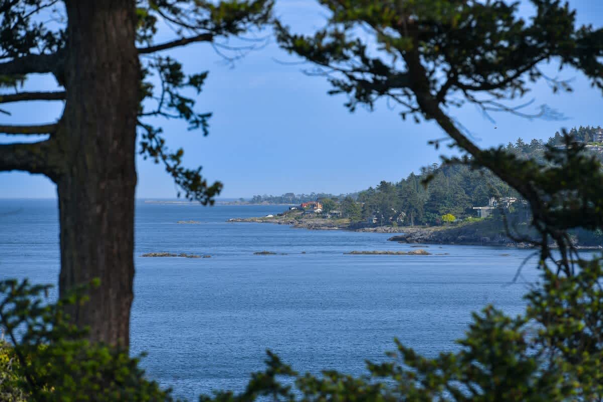 Incredible views from the property.