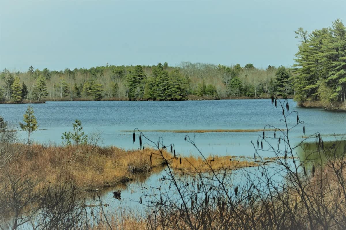 Charming Waterfront Cottage on Somes Pond — Mount Desert, ME — vacation rental