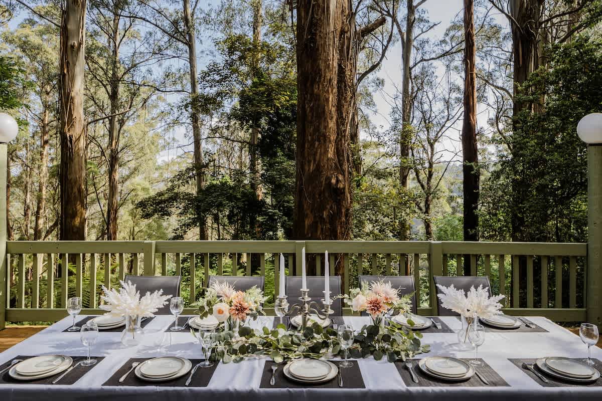 Seednest Treehouse | Forest & Mountain View — Sassafras, Victoria — vacation rental