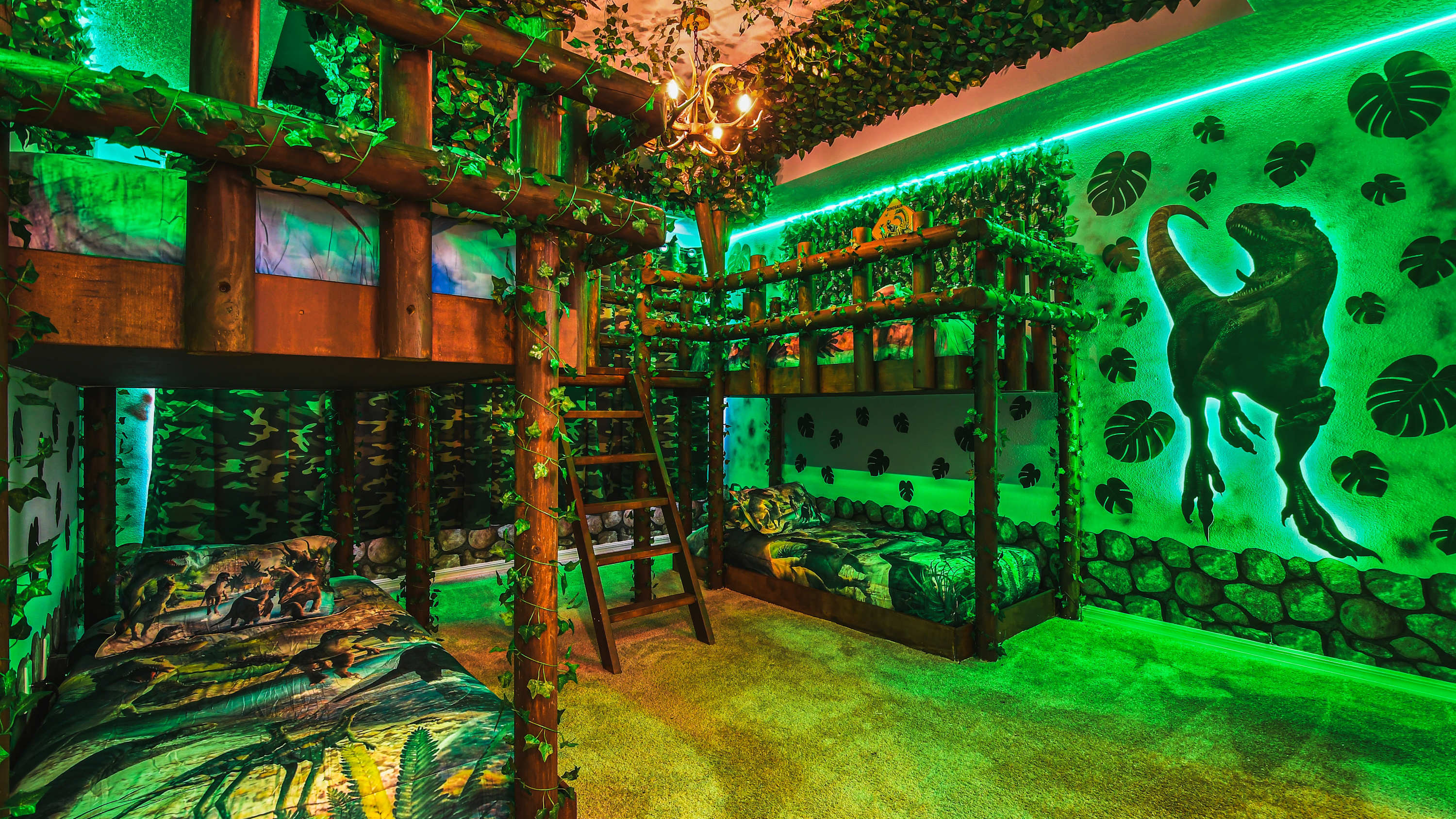 8913CBD Solara Photo