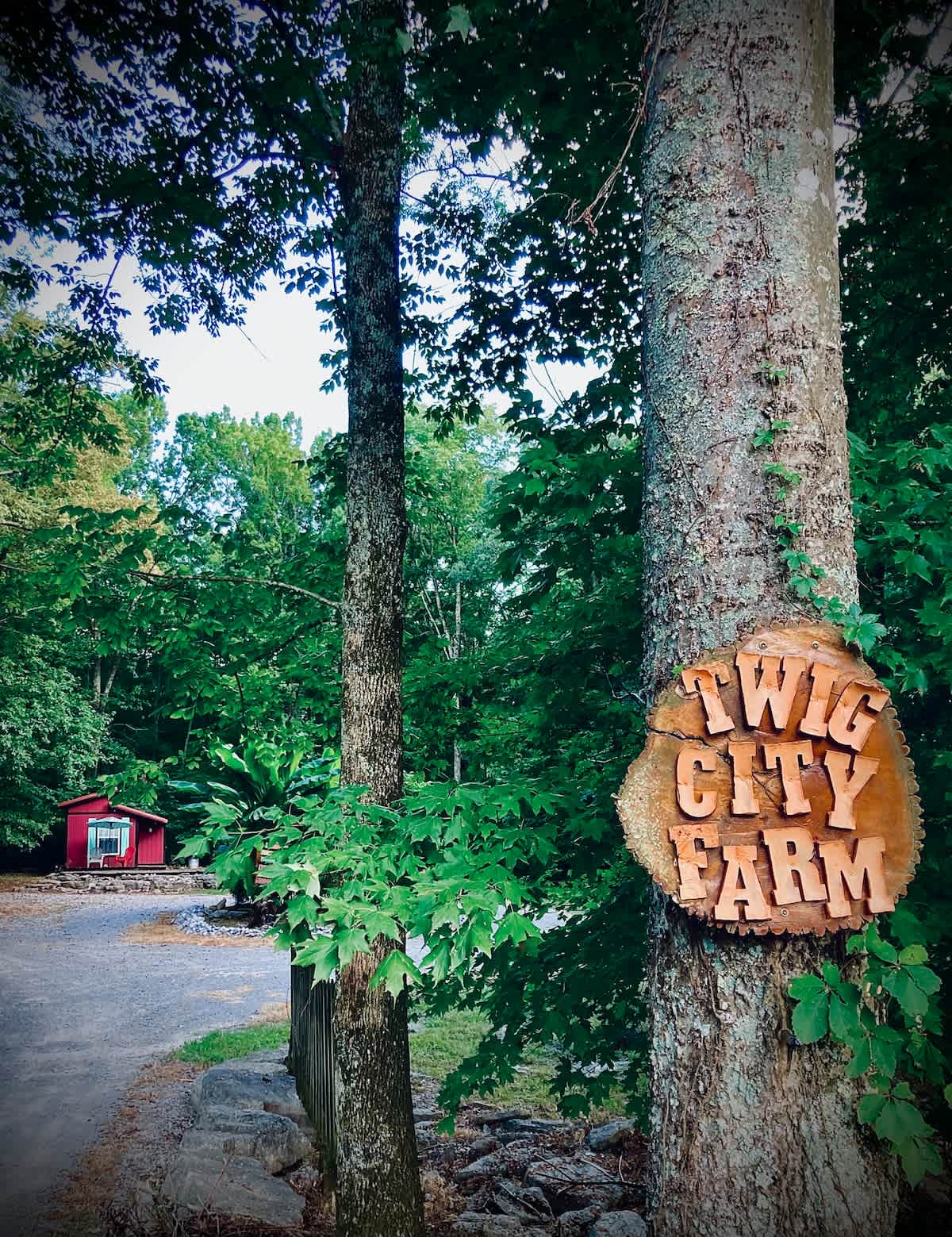 The Backstage Tiny House by Impossible Forrest! — Lebanon, TN — vacation rental
