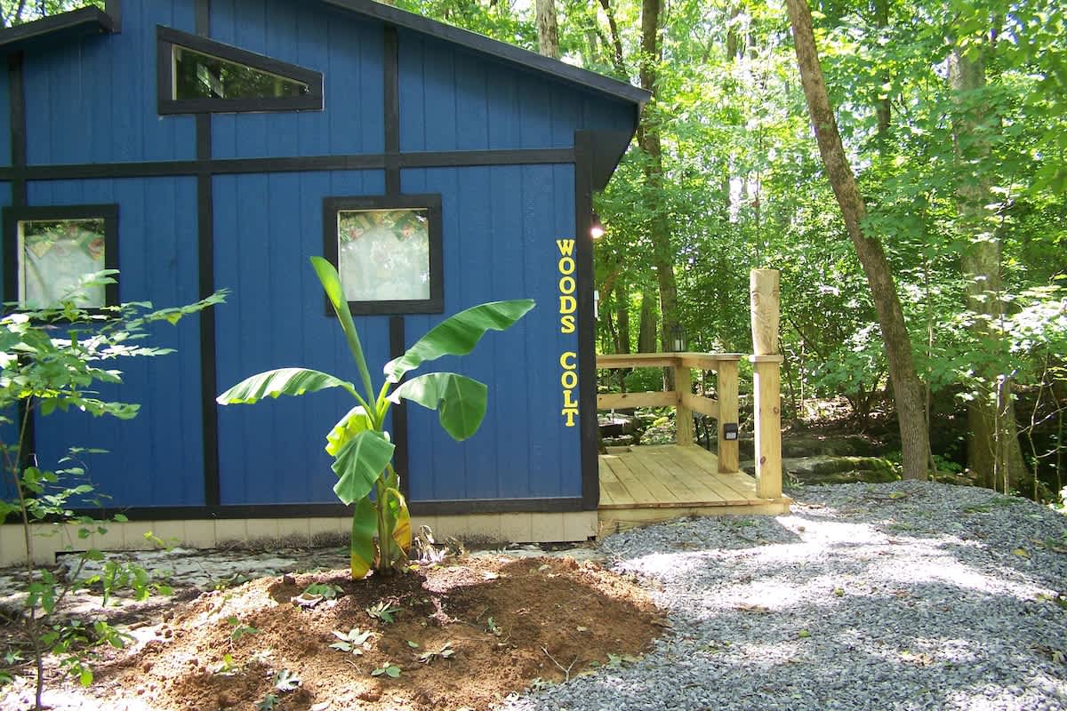 Woods Colt Tiny House at Twig City Farm!!  — Lebanon, TN — vacation rental