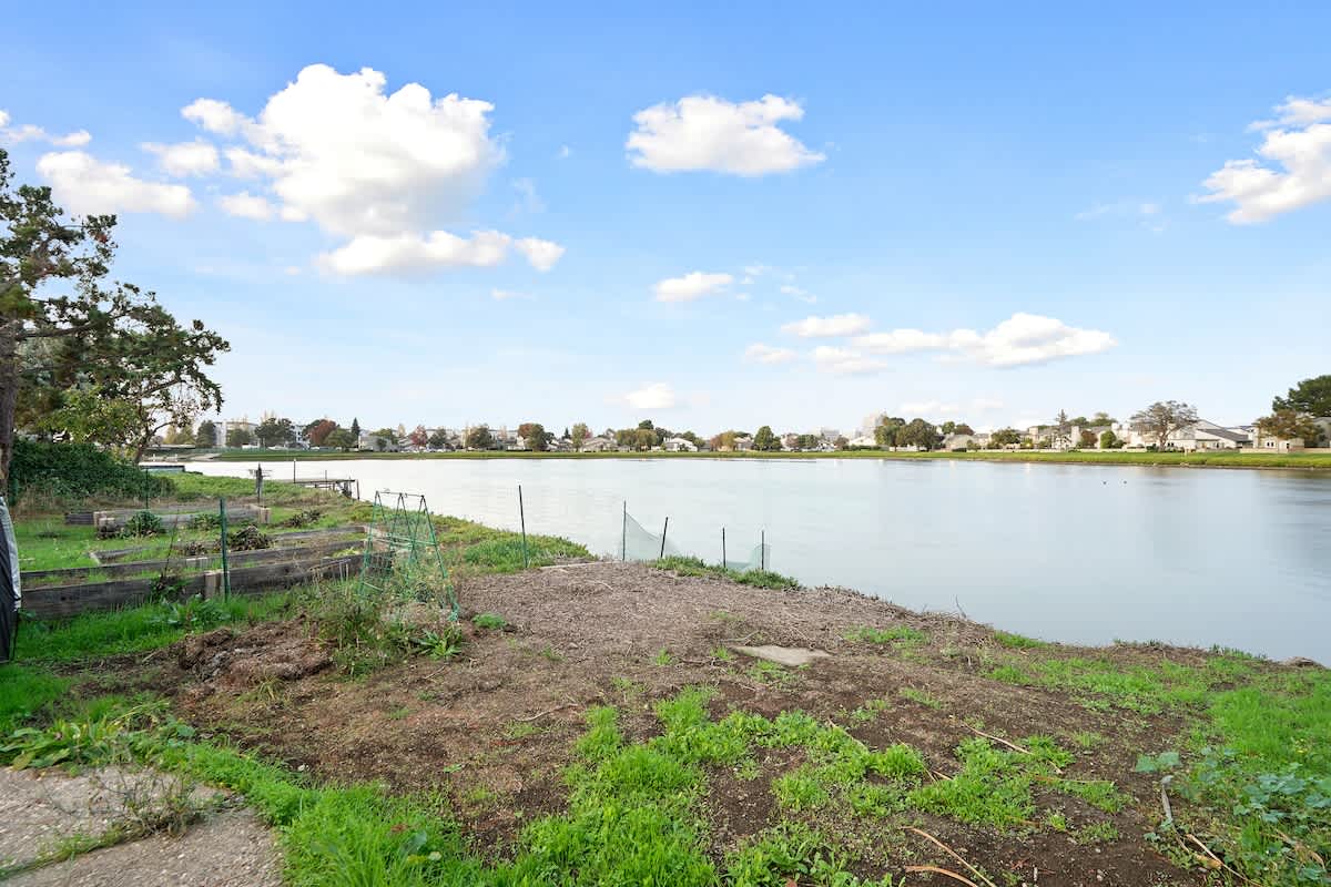 LakeFront Lavender House photo 21