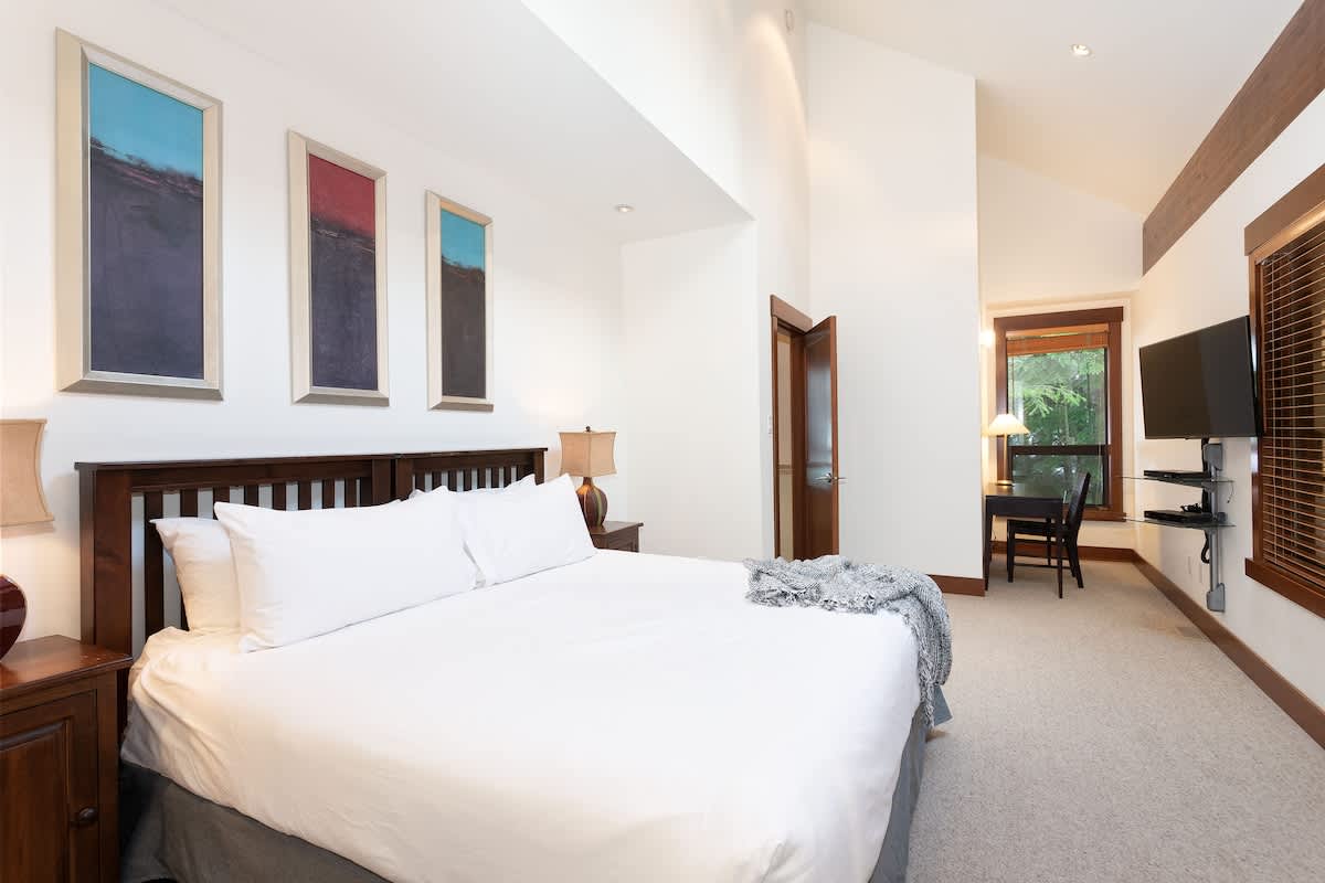 Northern Lights 41 8