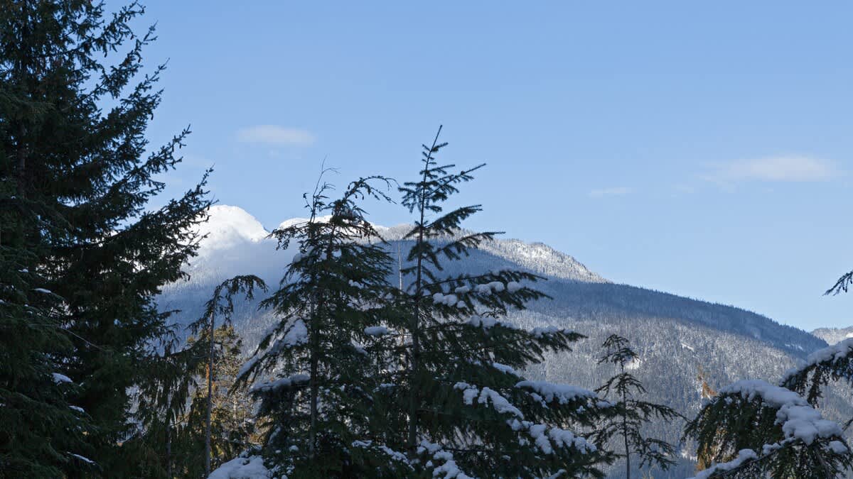 Northern Lights 45 6