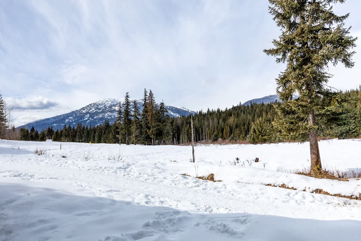 Blackcomb Greens 06 8