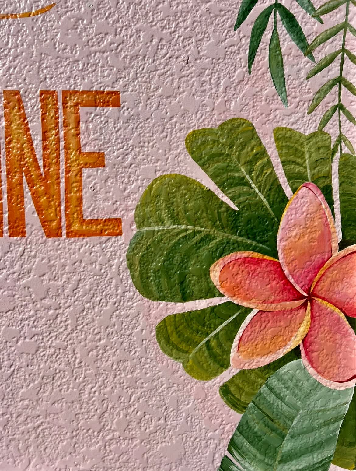 NEW MURAL ⭐️ SNAP A PHOTO & TAG US #SUNSHINEESCAPESIRB 