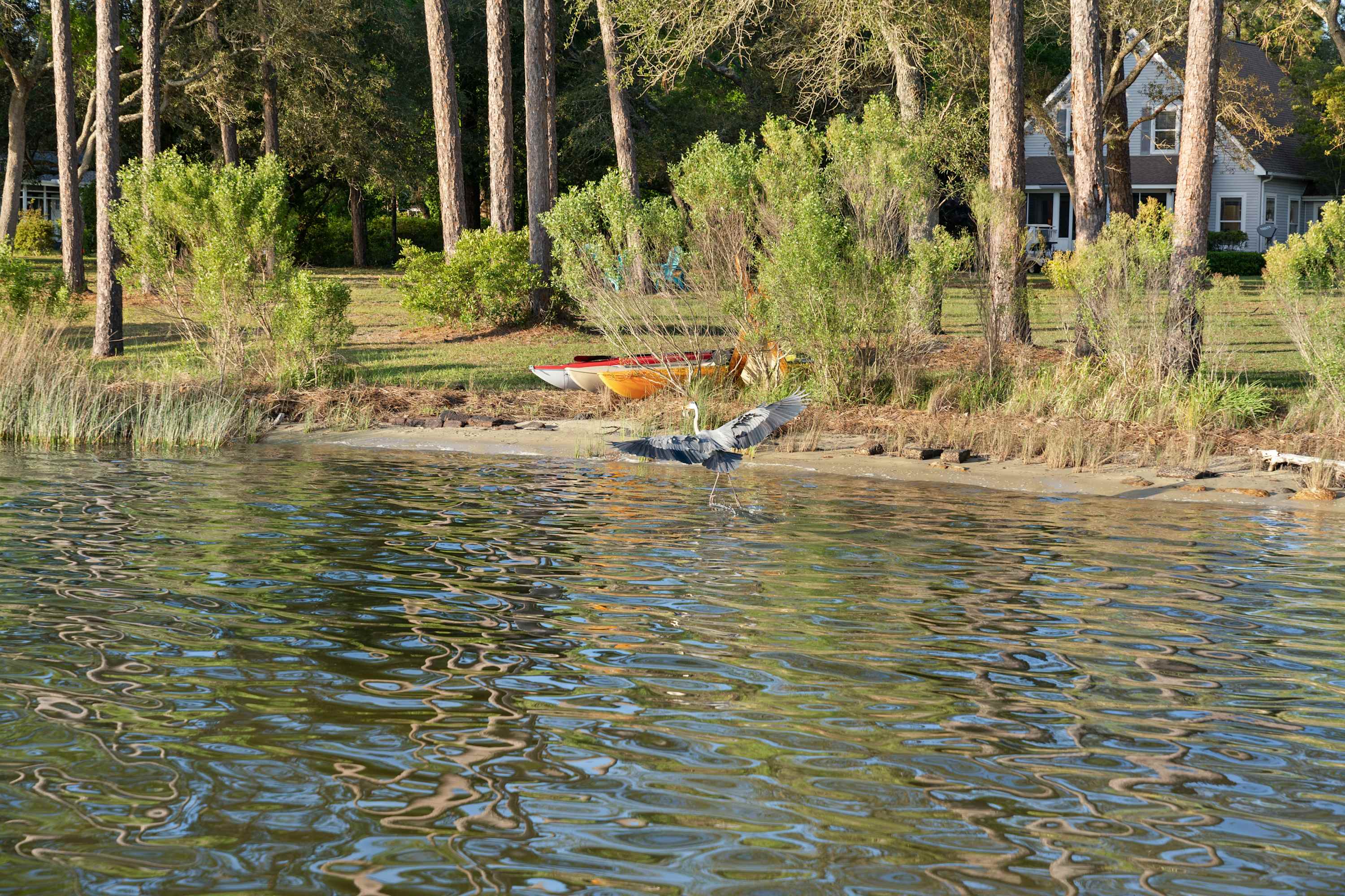 Waterfront Compound for 23 + Pets | Private Boat Dock, Multiple Living Areas | Free Tickets for Mini Golf, Helicopter Tours, Zoo Visits, + Cruises! 3