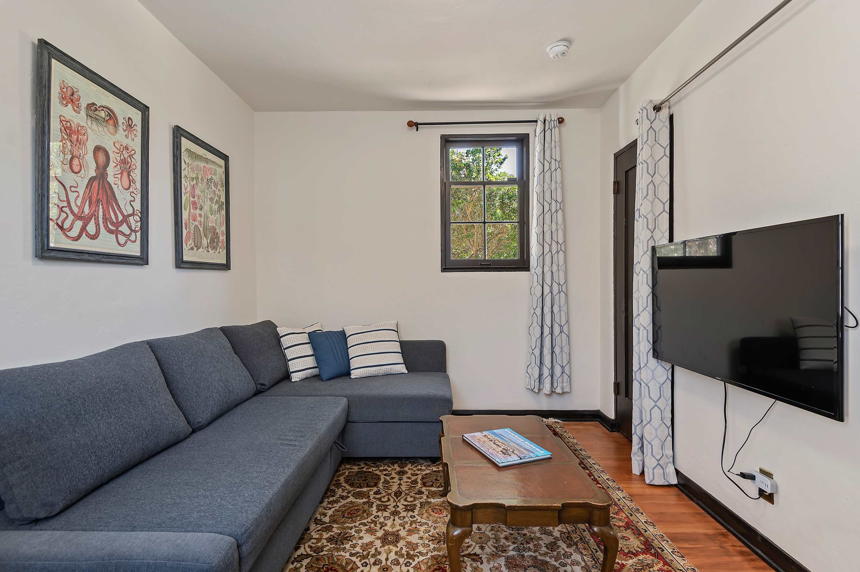 Living Room with pull out sofa & Smart TV