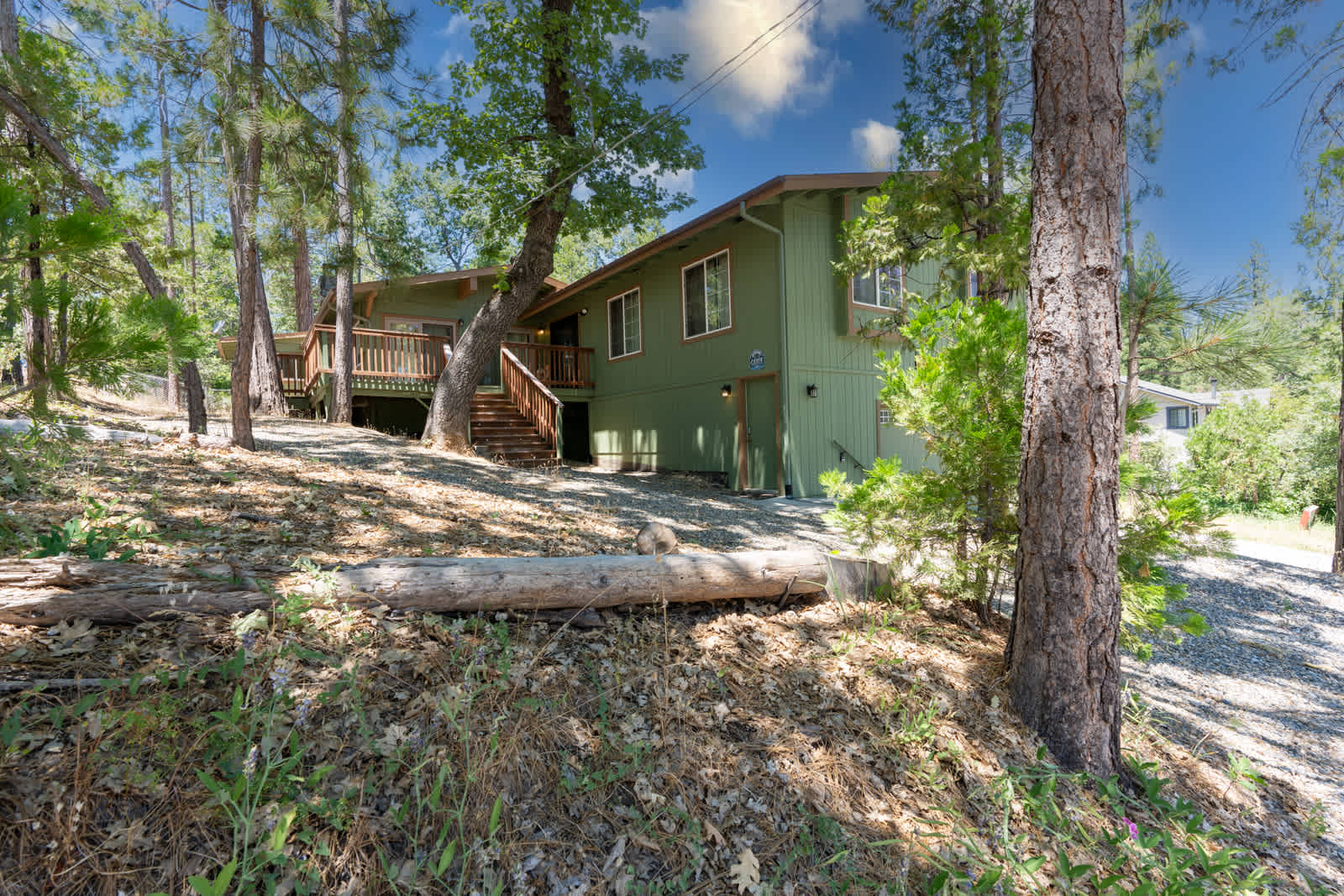 Immersed in Nature! Manzanita Cabin with Hot Tub