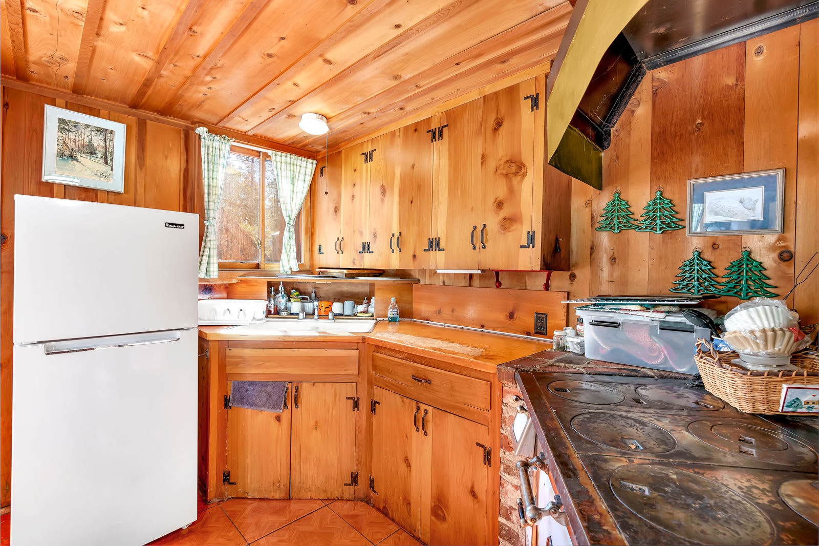 Rustic Knotty Pine - Old Cabin Vibes 5