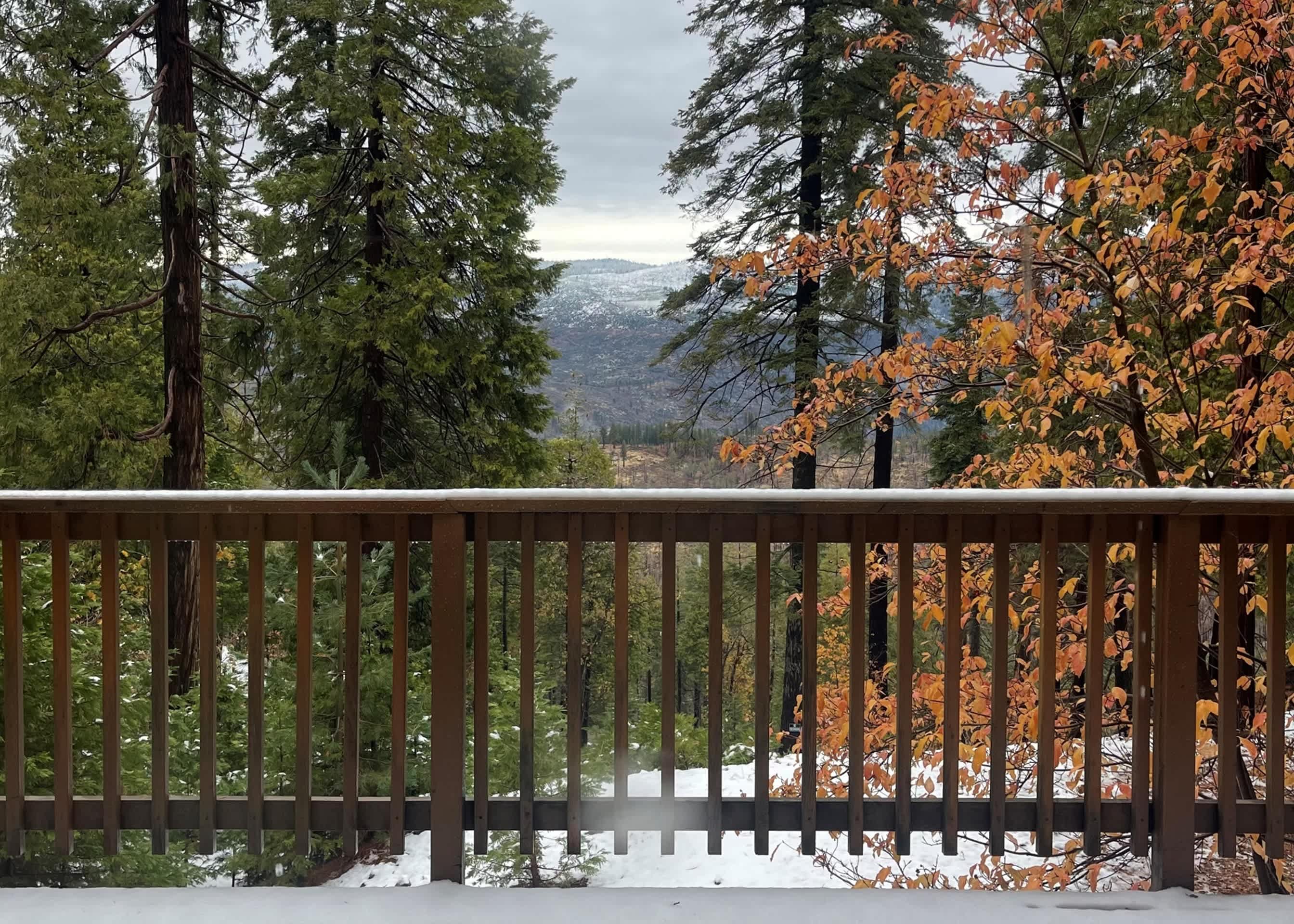 Yosemite Aviary - Bird's Eye View! Awesome Upper Unit! 6