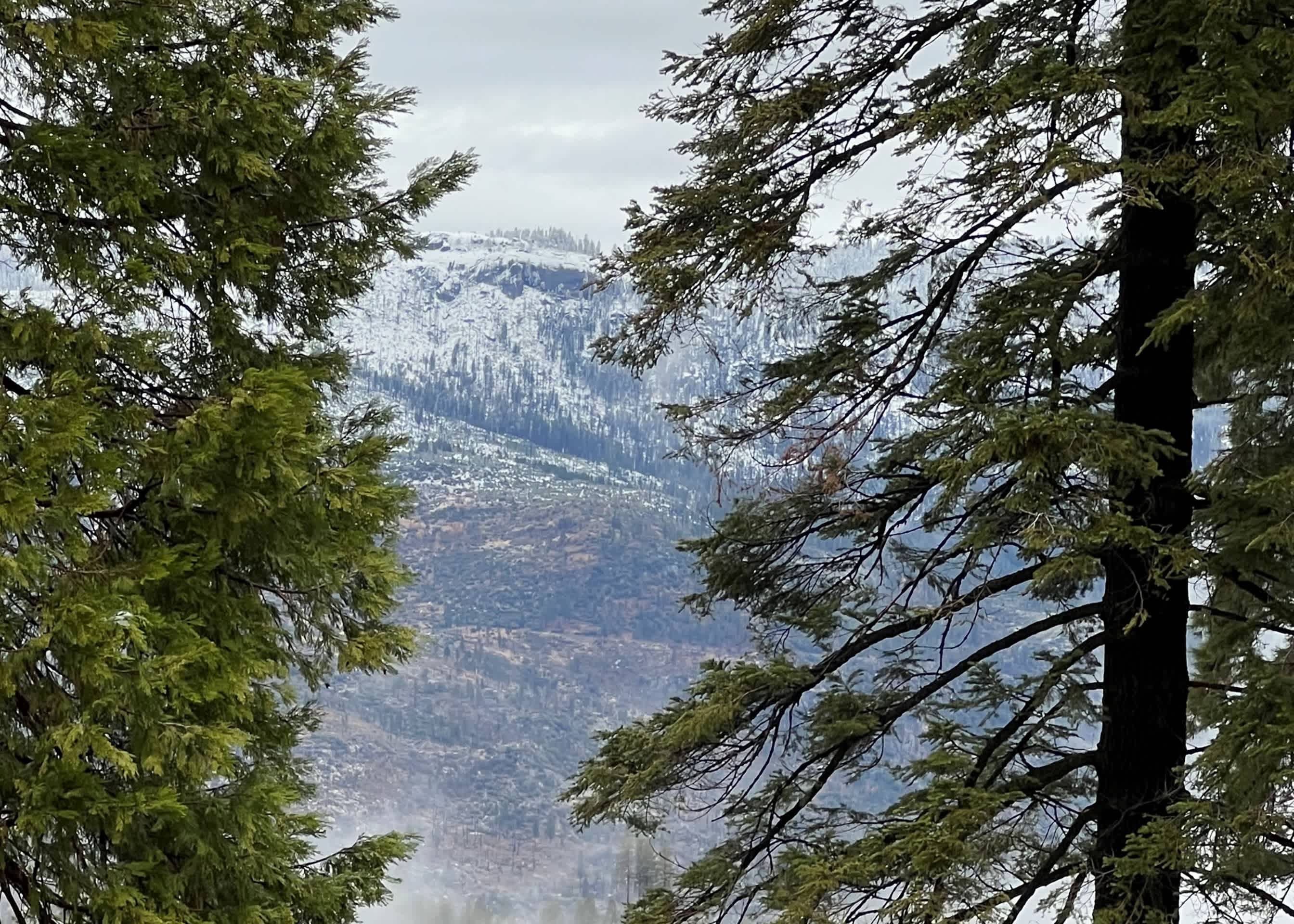 Yosemite Aviary - Bird's Eye View! Awesome Upper Unit! 7