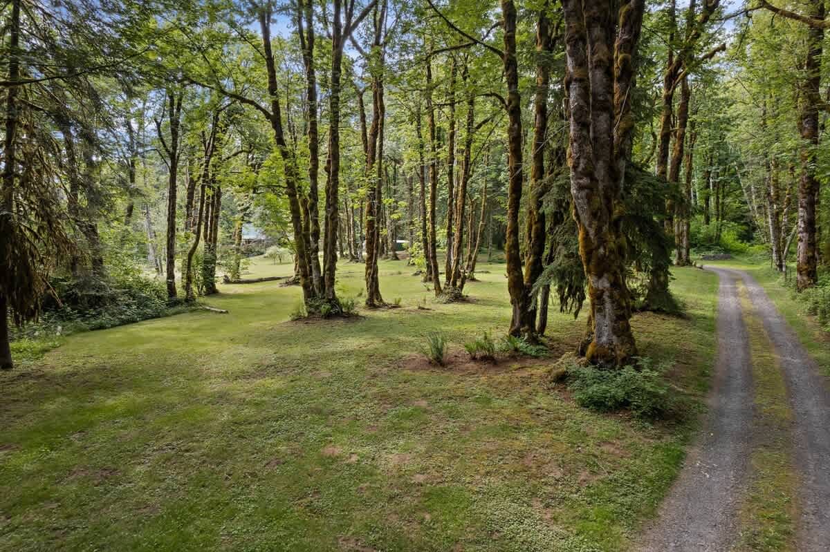 A rustic gravel path meanders through a spacious, grassy clearing bordered by numerous tall trees, leading towards the main lodge partially visible in the background.