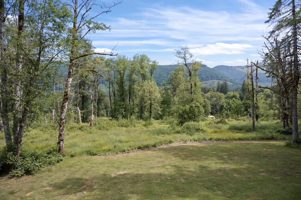 A wide shot of a grassy clearing with scattered trees, leading to a dense forest and distant rolling mountains under a partly cloudy sky, offering a scenic view from the property.