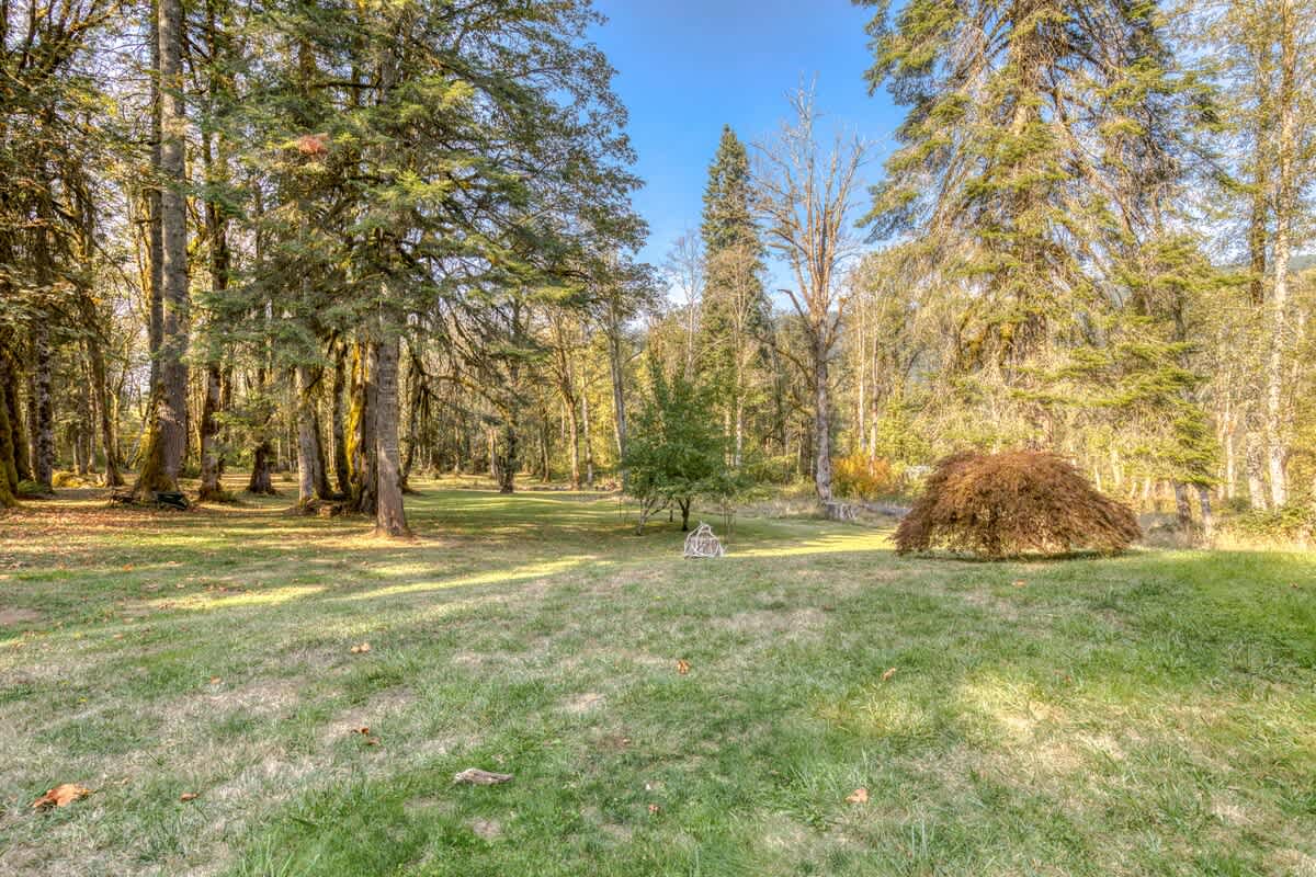 Expansive, well-maintained grassy lawn surrounded by a variety of mature trees, creating a private and natural outdoor space on the property.