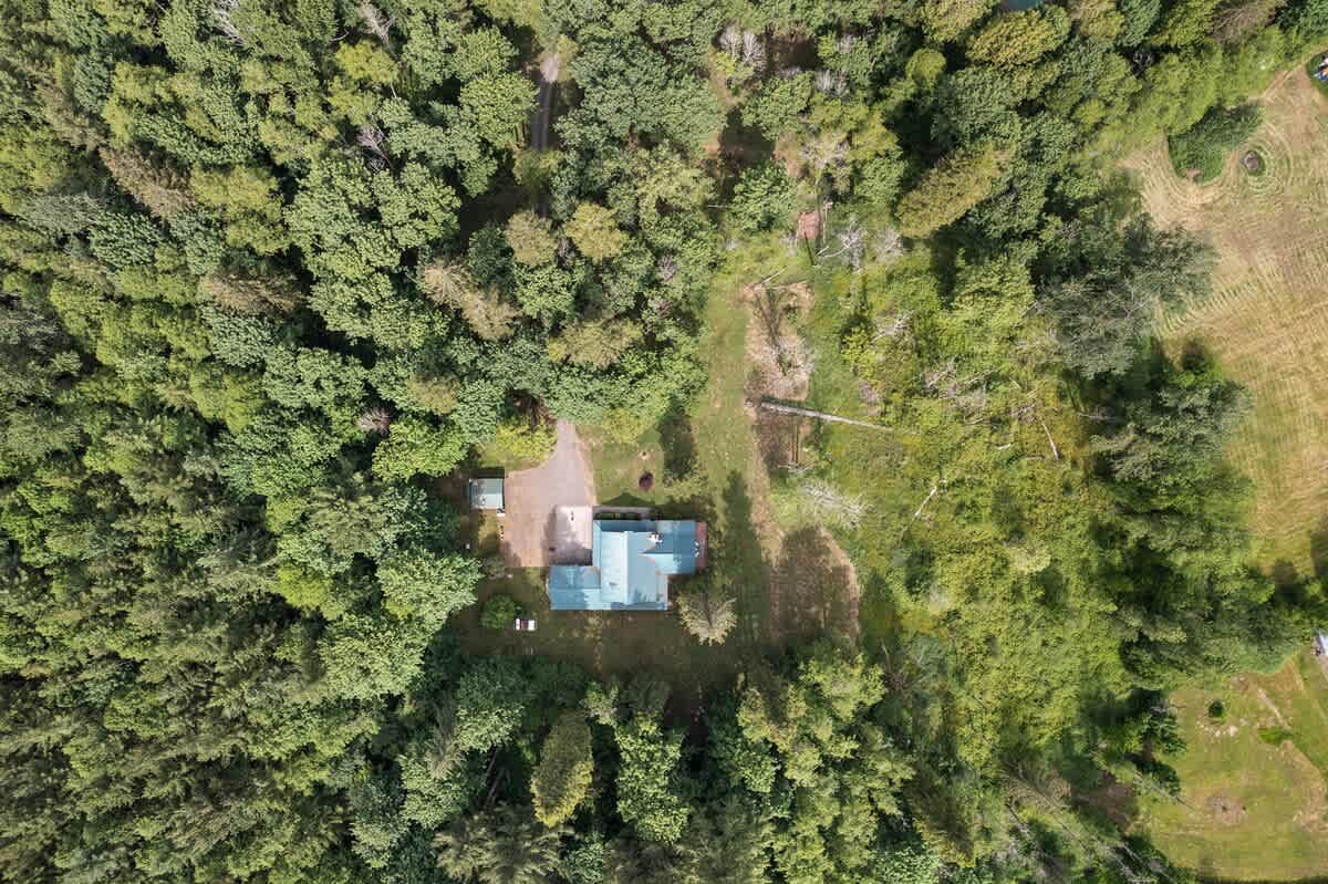 Overhead aerial view of the wooden lodge with its teal roof, situated in a clearing surrounded by a dense, lush green forest, with a gravel driveway leading to the house.