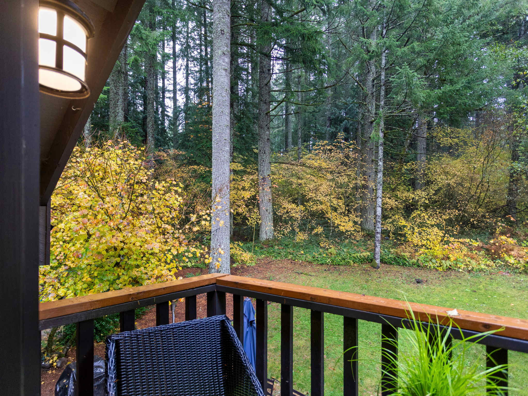 View from a wooden balcony overlooking a vibrant forest with tall evergreen trees and bright yellow autumn leaves. A black wicker chair and a potted plant are visible in the foreground.