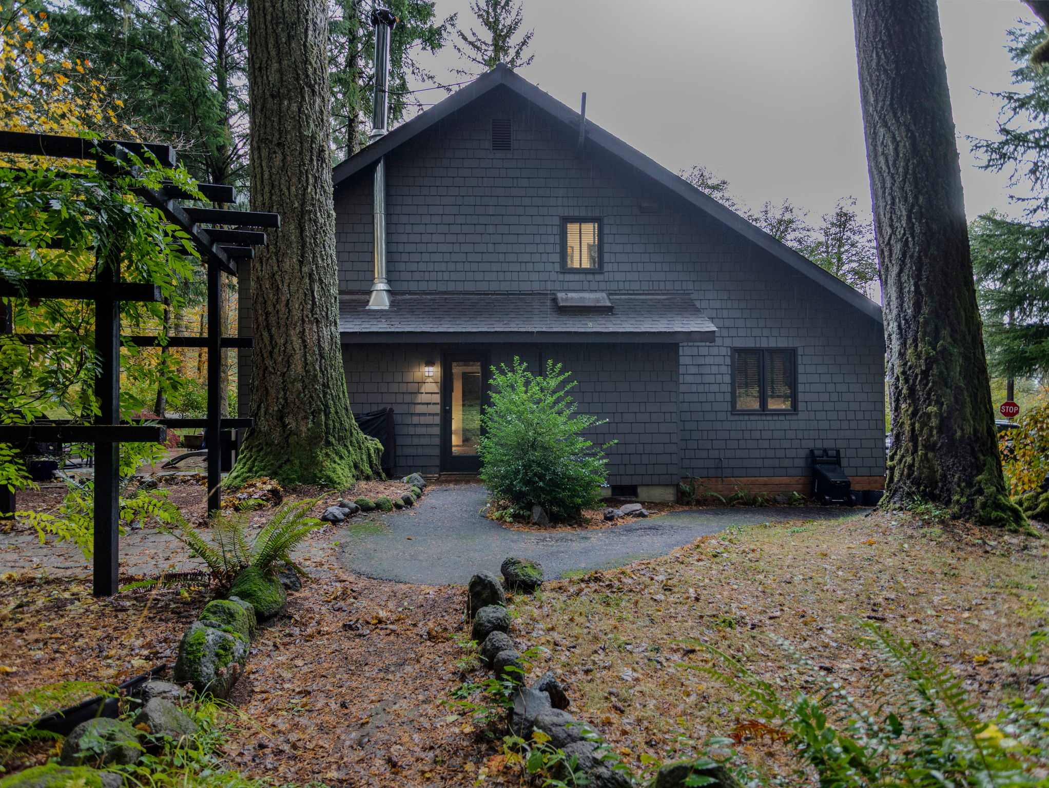 The back of a dark gray, shingled house with a prominent chimney is surrounded by tall evergreen trees and a small, winding garden path. A small evergreen bush is planted near the back door, illuminated by an outdoor light.