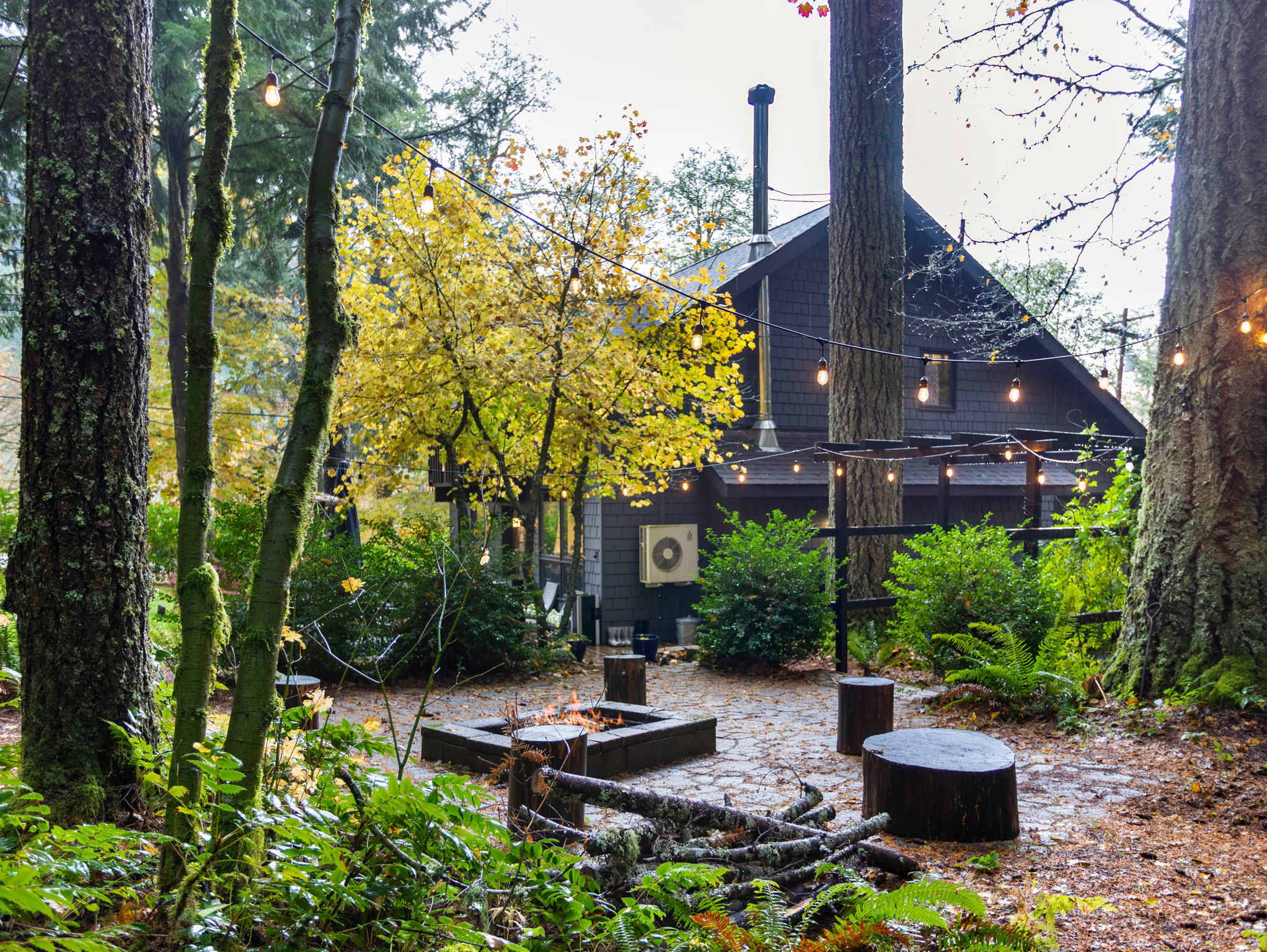 An outdoor fire pit area with tree stump seating and string lights is nestled among tall trees with vibrant yellow foliage. The dark gray house is partially visible in the background, blending into the natural forest setting.