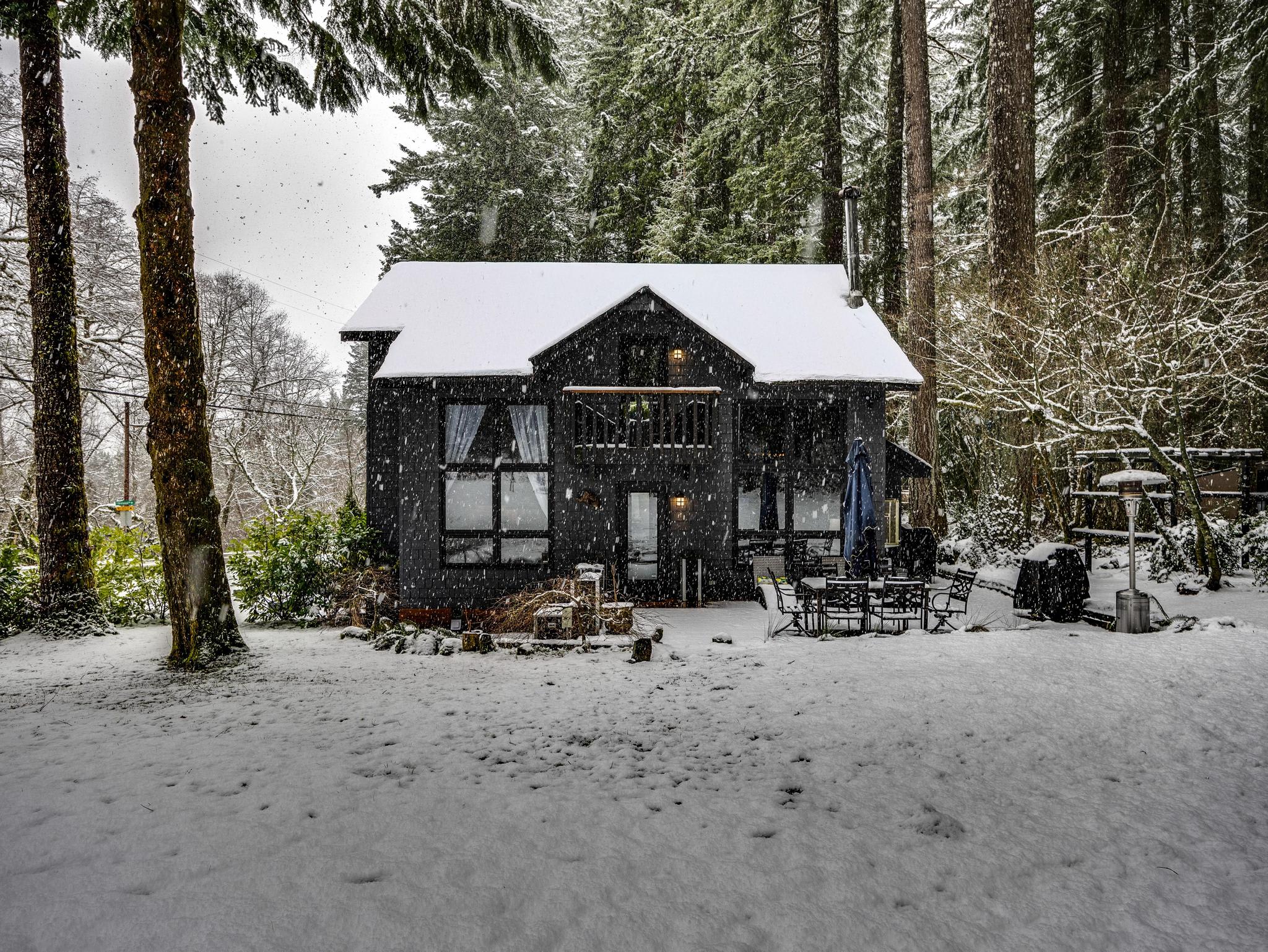 Cozy dark-sided house with a snow-covered roof and grounds, surrounded by a dense evergreen forest during a gentle snowfall. An outdoor patio with furniture is partially visible.