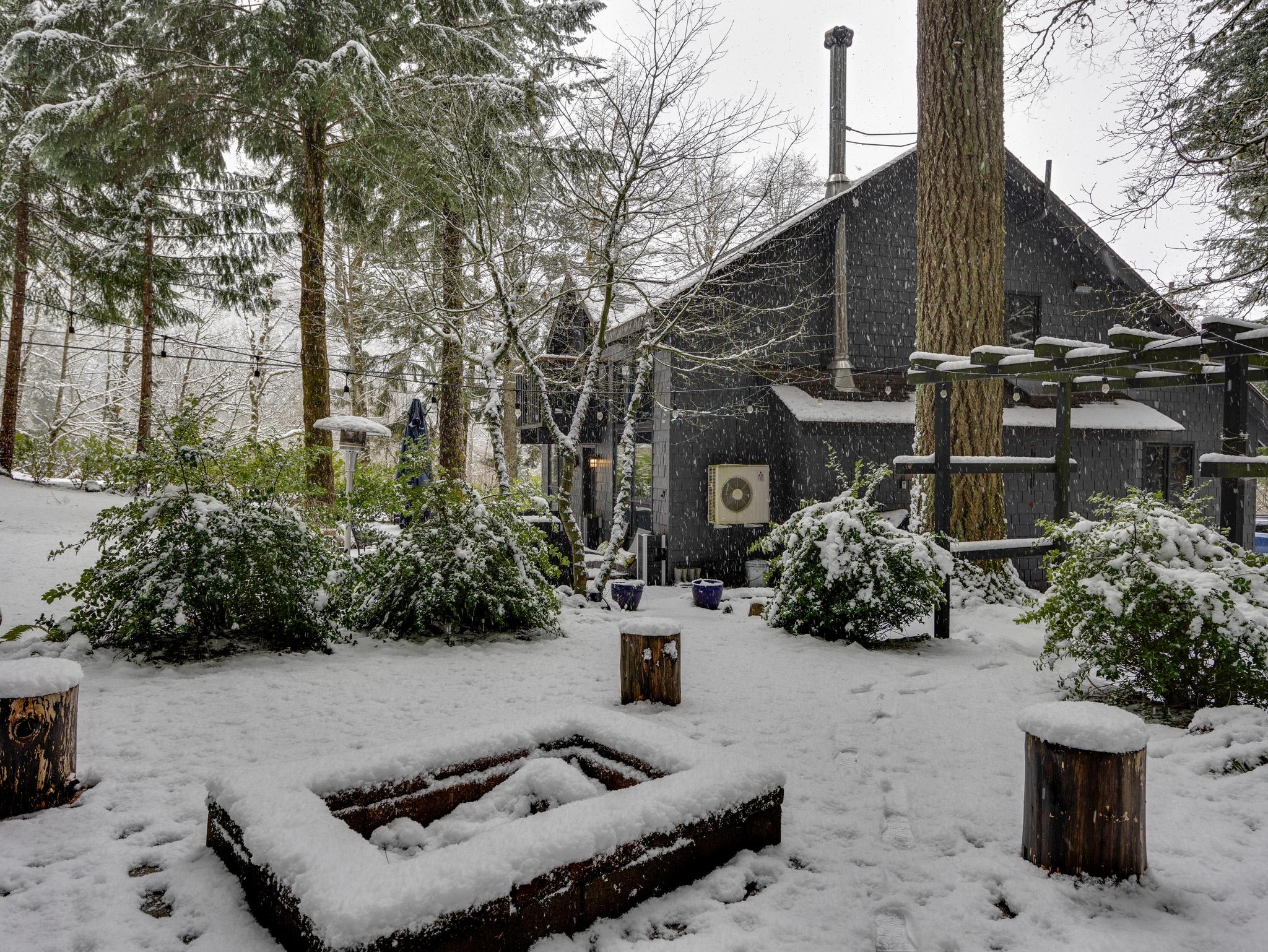 A snow-covered fire pit area with tree stump seating is surrounded by snow-dusted bushes and tall evergreen trees. The dark gray house is visible in the background, also covered in a fresh layer of snow.