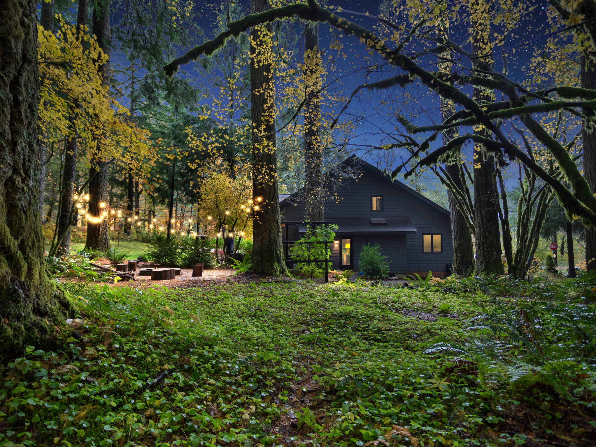 Picturesque dark-sided house surrounded by a lush forest with moss-covered trees and a carpet of green ground cover, illuminated by string lights and soft exterior glow at dusk. A fire pit area is visible.