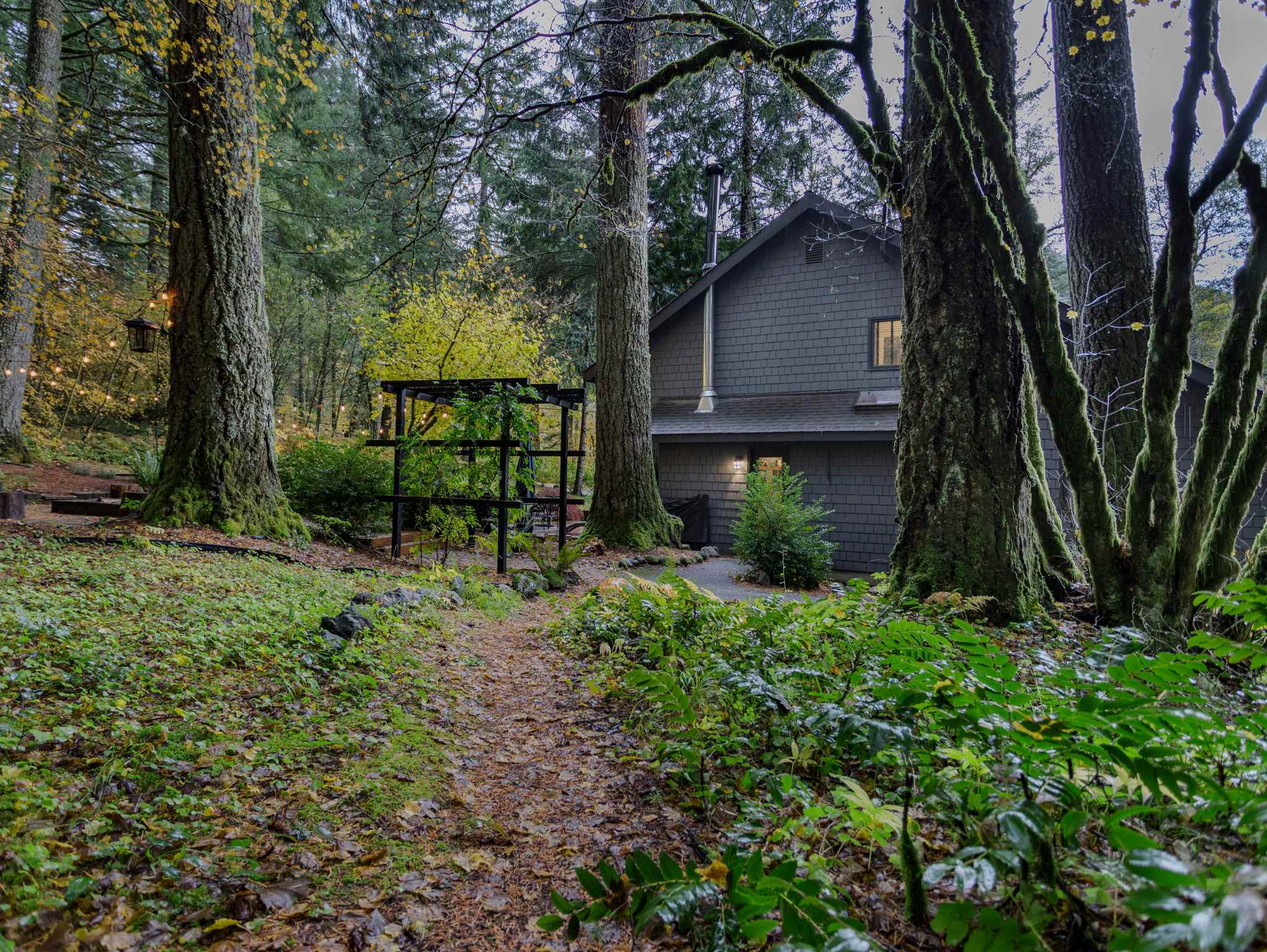 A winding dirt path leads through a lush, mossy forest towards the dark gray house, partially obscured by tall, moss-covered trees. A dark wooden pergola is visible to the left, hinting at additional outdoor amenities.